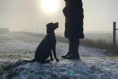 2025-03-Dogs-5