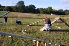 Dog-Agility-5