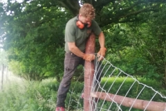 Ashdown-Paddock-Fencing-3