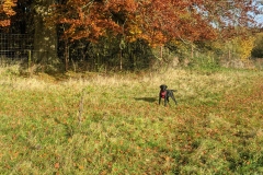 1_2021-11-Lucie-3