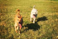 Ashdown-Libby-4