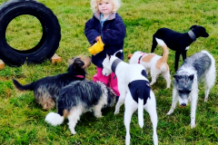 Ashdown-Paddock-Girl-with-Dogs