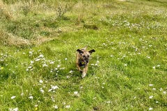 IMG_2748 IMG_2748