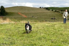 IMG_2819 IMG_2819
